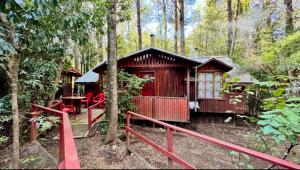 a small cabin in the middle of a forest at Salto del Indio - Cabañas Lemunantu in Manzanar
