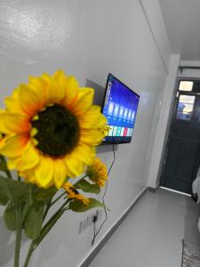 TV i/ili multimedijalni sistem u objektu Lavish Apartment