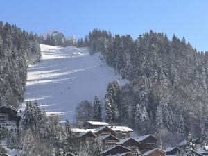 ein Skigebiet mit schneebedeckten Bäumen und einer Skipiste in der Unterkunft Charme au centre d'Arâches : 2 pièces + coin montagne, 4/5 pers, proche pistes et commerces - FR-1-572-154 in Les Carroz d'Araches