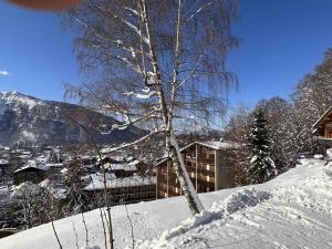 Ein Baum im Schnee vor einem Gebäude in der Unterkunft Charmant Studio-Cabine 4 pers, Centre-Village, Balcon Ouest, à 600m des Pistes - FR-1-572-281 in Arâches-la-Frasse + 8 Fotos