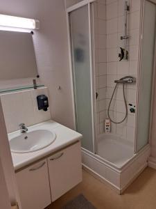 a bathroom with a sink and a shower at Résidence Rachel 12 in Mons