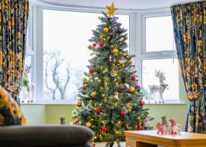 a christmas tree in a living room in front of a window at Rosies Cottage in Rostrevor