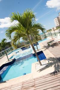a swimming pool with a palm tree next to a building at Flat Beira Mar JTR Action in Maceió