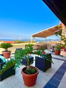 a group of potted plants sitting on a patio at Sand'Ana House B&b in Alghero