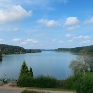 a view of a lake with trees on the shore at Seeschloss Hotel Kellersee in Eutin