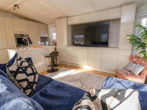 TV a/nebo společenská místnost v ubytování Lodge