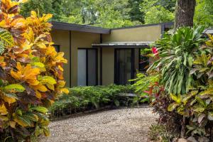 a house surrounded by plants and trees at Casa Playa Avellanas in Playa Avellana