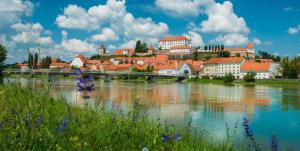 a city with a bridge over a river with buildings at Studio apartma Rimljanka in Ptuj