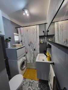 y baño pequeño con aseo y lavadora. en Cozy Plevnei, en Bucarest 6 fotos más