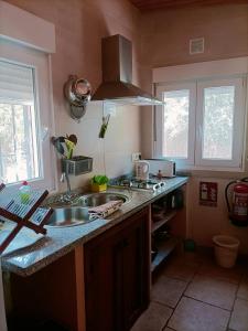 a kitchen with a sink and a stove and two windows at Aguas Calmas in Nigüelas