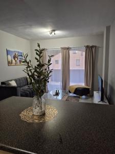 a living room with a table with a plant on it at Mlangeni's Rest in Centurion