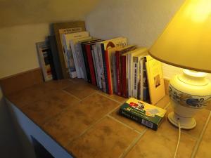 Knihovna v prázdninového domu