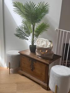 a palm tree on a table with a plant at CreaConfort Casa Boa Jóia de Campanhã in Porto +60 photos