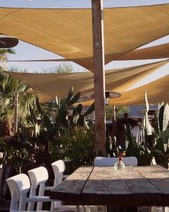 Fotografie z fotogalerie ubytování Ramsey 29 v destinaci Twentynine Palms + 74 fotografií