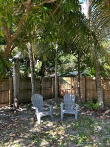 Κήπος έξω από το Sunflower stays