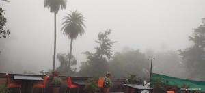 Un patio envuelto en niebla con sillas y palmeras al fondo. en Amri's Villa, en Mount Abu 2 fotos más