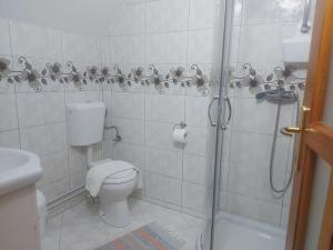 ein weißes Badezimmer mit Dusche und Toilette in der Unterkunft Casa Ioana in Poiana Mărului + 80 Fotos