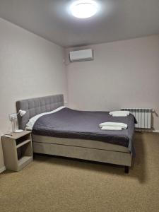 ポルタヴァにあるГостьовий Будинок Апартаменти в тихому центральному районі Полтави Смарт-квартири Саунаのベッドルーム1室(青い毛布とランプ付きのベッド1台付)