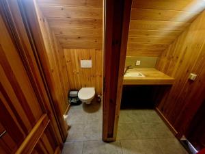 um pequeno banheiro com um vaso sanitário e uma pia em Chalupa Pod lomem - Malá em Dolní Morava mais 11 fotografias