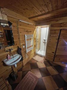 uma casa de banho com um lavatório e um chuveiro numa cabina em Chalupa Pod lomem - Malá em Dolní Morava