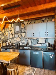 Kuchyň nebo kuchyňský kout v ubytování Hanzade suit bungalov