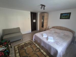 a small bedroom with a bed and a chair at Casa Dumitru si Elena Ciocanesti Bucovina in Ciocăneşti