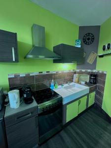 a kitchen with green walls and a stove and a sink at La Perle Marine superbe vue mer terrasse 30m2 in Criel-sur-Mer