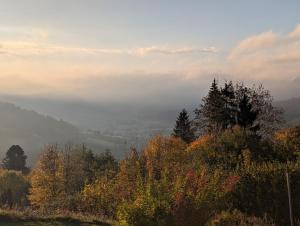 Φυσικό τοπίο κοντά σε αυτό το διαμέρισμα +1 φωτογραφίες