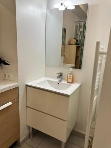 フレンヌにあるT3 lumineux 15min Paris, aéroport Orly à 10minの洗面台と鏡のあるバスルーム
