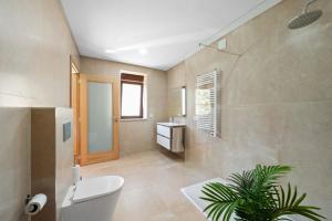 a bathroom with a toilet and a sink at Terra Nossa in Vila Real +23 photos