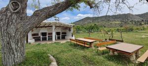 Un refugio para picnic con una mesa y un árbol. en Rural Casa Caravaca, Bajo, Campo San Juan, Moratalla, en La Risca