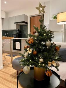 a christmas tree on a table in a living room at Family Stay & 20 min Disneyland Paris in Meaux