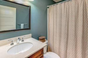 a bathroom with a sink and a shower curtain at Hikes and Apples Renovated Farmhouse in Gig Harbor! in Rosedale +27 photos
