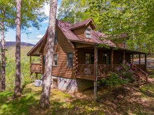 ウェスト・ジェファソンにあるBuck Ridgeのデッキ付きの森のログキャビン