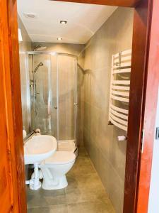 een badkamer met wastafel, douche en toilet bij Skansen- Bożejów in Radomierowice