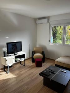 a living room with a couch and a tv at Anna apartman in Niš