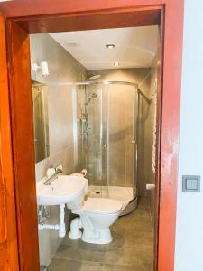 een badkamer met toilet, douche en wastafel bij Skansen- Bożejów in Radomierowice