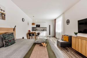 Μια τηλεόραση ή/και κέντρο ψυχαγωγίας στο Výhledna Lipno Korzo