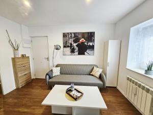 una sala de estar con un sofá y una mesa en Apartment 5 Pers Natur León, en Villafañé