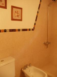 a bathroom with a shower and a toilet and a sink at Patagonia Playa Cielo in Mar de las Pampas +7 photos