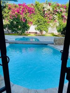 Πισίνα στο ή κοντά στο Casa Dea - Bungalow DS