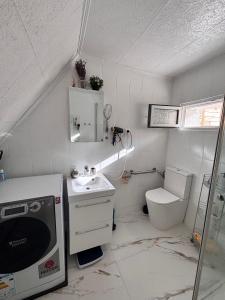 a small bathroom with a sink and a toilet at Cazare La Luiza in Şura Mare