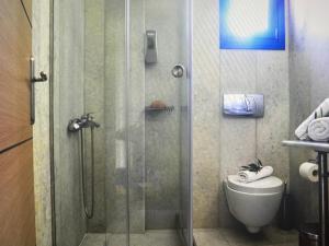 une salle de bain avec une douche en verre et des toilettes dans l'établissement Sunset Aura Santorini, à Éxo Goniá 7 autres photos