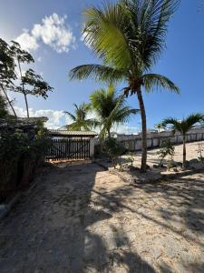 a couple of palm trees on the beach at Nordestino in Pipa +28 photos