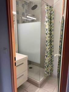 Koupelna v ubytování Maisonnette Ti Lézard Vert au calme à 100 mètres de la plage