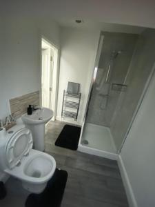 un bagno con doccia, WC e lavandino di Blissfull dreams 1 bedroom apartment a Hull