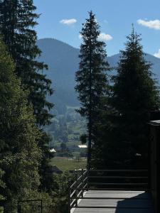 Φυσικό τοπίο κοντά σε αυτή η παραθεριστική κατοικία +3 φωτογραφίες