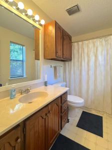 Koupelna v ubytování The Treehouse on Table Rock