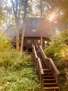 una scala di legno che porta a un edificio nel bosco di The DodeCanopy a Columbia