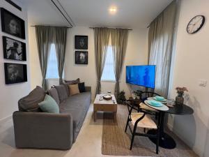 TV a/nebo společenská místnost v ubytování Flatiron apartment II